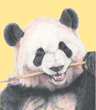 彩浜の色鉛筆画